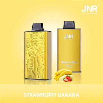 JNR Mega Box 25k Vape